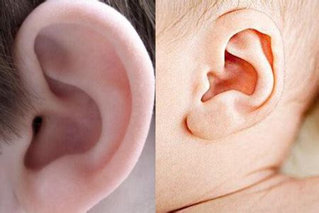 有成就 左耳耳鸣代表什么